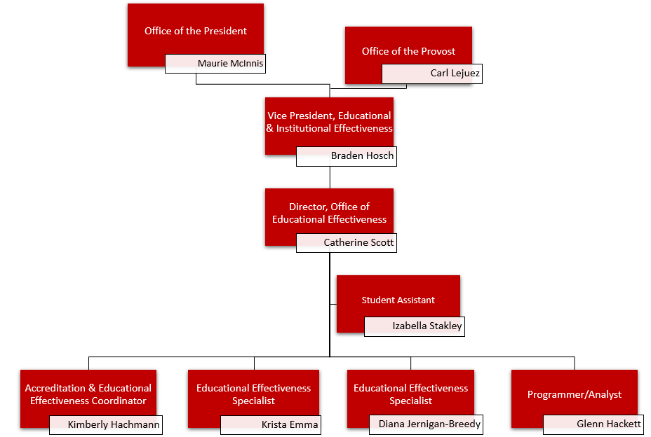 Organizational Chart | Office of Educational Effectiveness